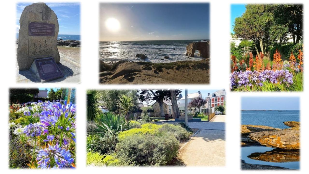 Appartement 3 Pieces Coeur Ville Quiberon Dış mekan fotoğraf